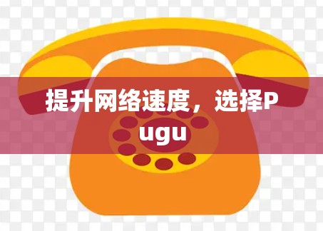 提升网络速度，选择Pugu