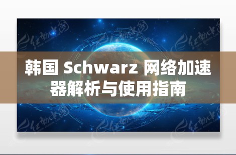 韩国 Schwarz 网络加速器解析与使用指南