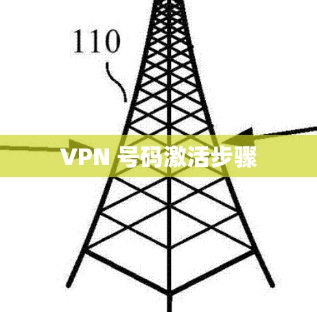 VPN 号码激活步骤
