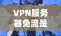 VPN服务器免流是指一些VPN服务提供了一个低延迟的连接，让用户不需要频繁的流量或等待时间。这种设计旨在提供一个快速且稳定的连接，适用于需要高带宽和实时性需求的用户