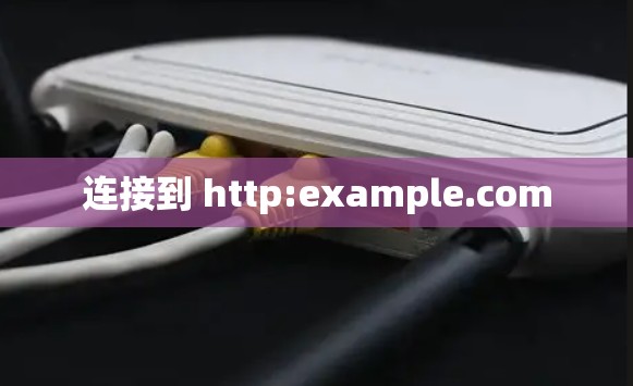 连接到 http:example.com
