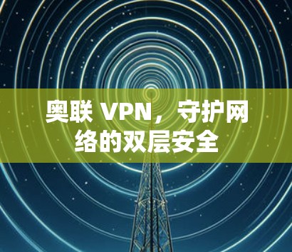 奥联 VPN，守护网络的双层安全
