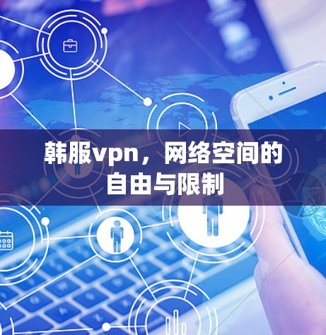 韩服vpn，网络空间的自由与限制