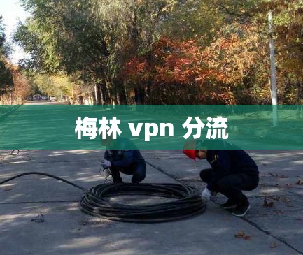 梅林 vpn 分流