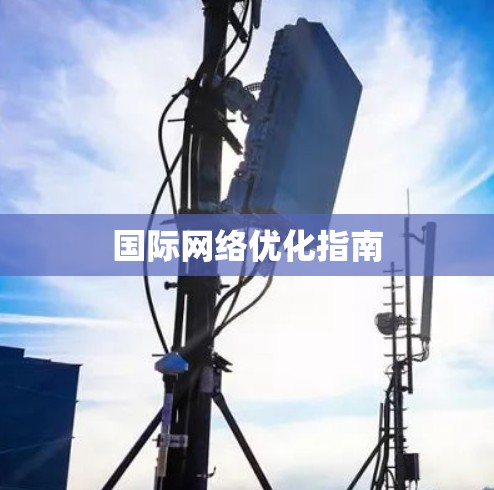 国际网络优化指南 国际网络优化指南