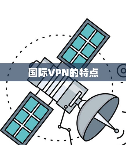 国际VPN的特点