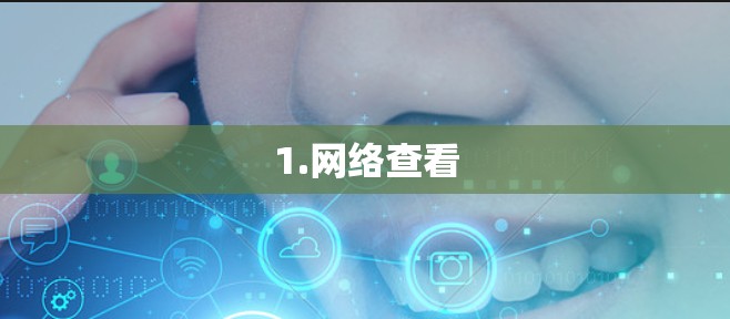 1.网络查看