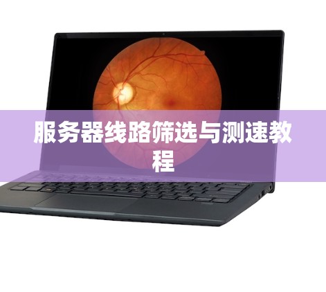 服务器线路筛选与测速教程 服务器线路筛选与测速教程